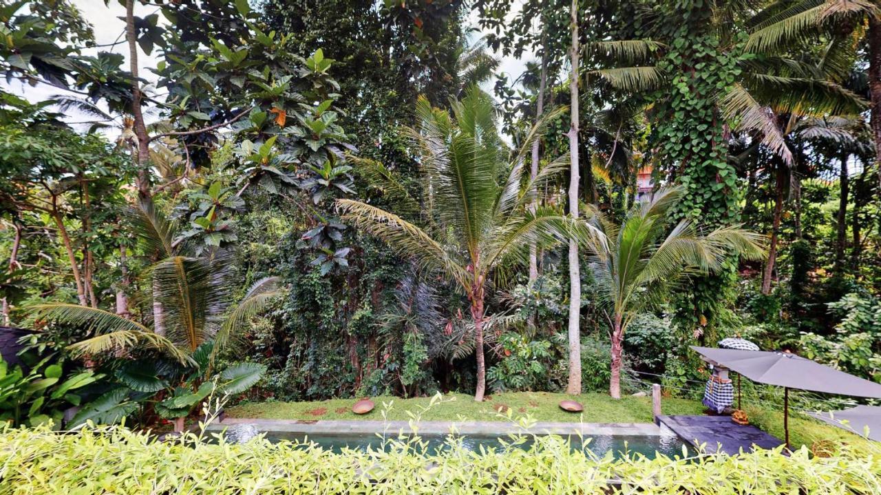 Hotel Six Cubes Ubud Exteriér fotografie