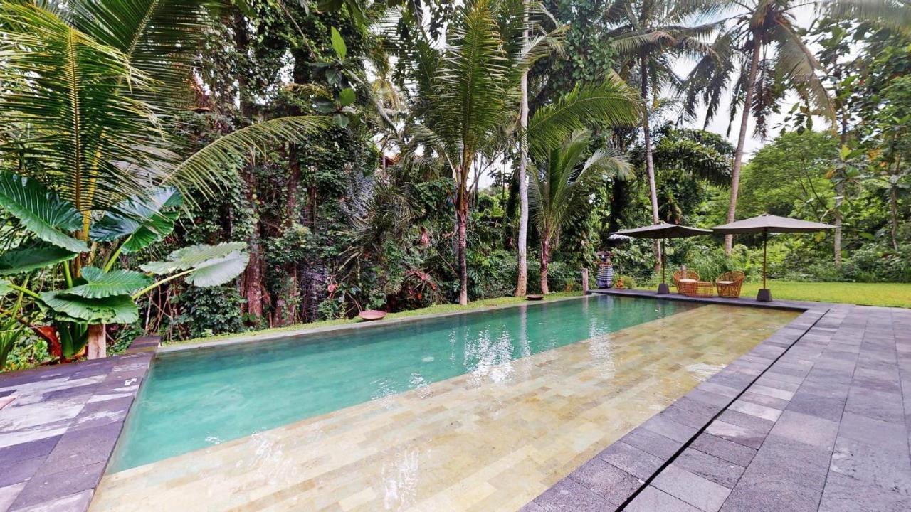Hotel Six Cubes Ubud Exteriér fotografie